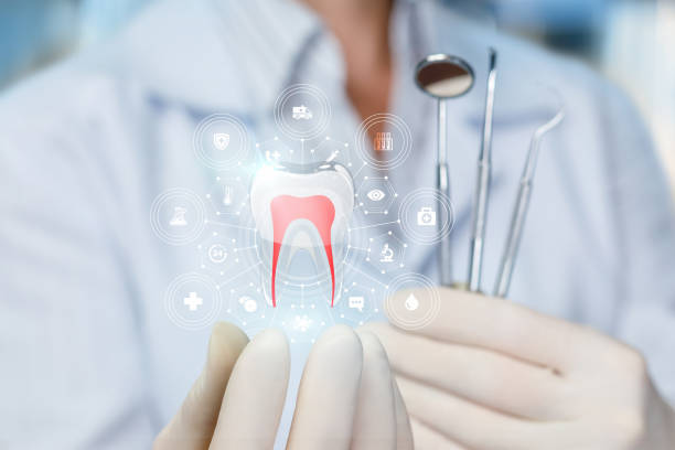 Best Dental X-Rays and Imaging  in Sparkill, NY